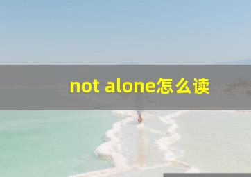 not alone怎么读